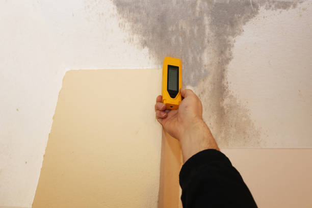 Best Dehumidification Services  in Thomson, GA