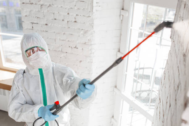 Best Mold-Related Health Consultation  in Thomson, GA