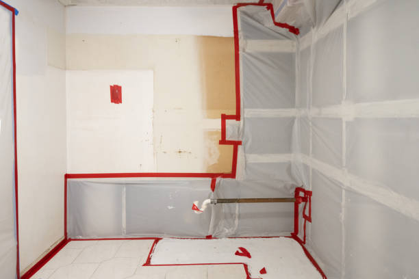 Best Mold Removal for HVAC Installations  in Thomson, GA