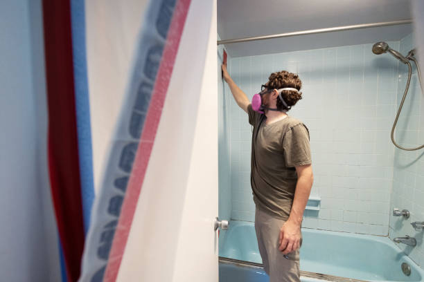 Reliable Thomson, GA Mold Removal Solutions