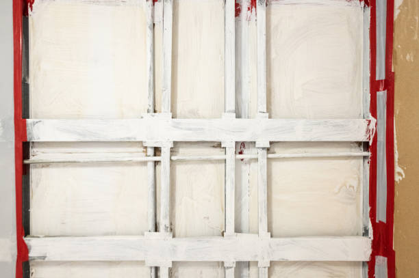 Best Industrial Mold Remediation  in Thomson, GA