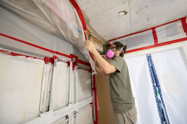 Best Asbestos and Lead Testing During Mold Inspection  in Thomson, GA