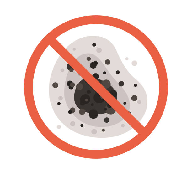  Thomson, GA Mold Removal Pros