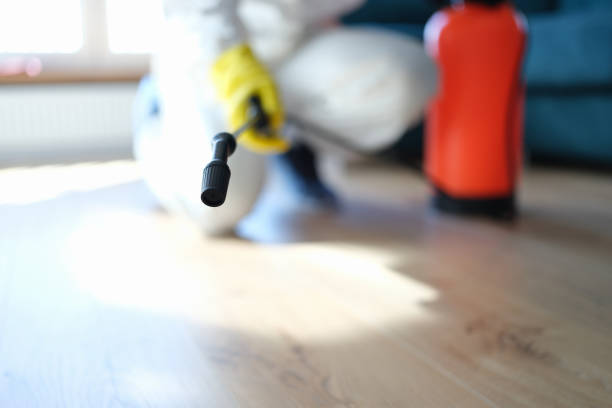 Best Water Damage & Mold Remediation  in Thomson, GA