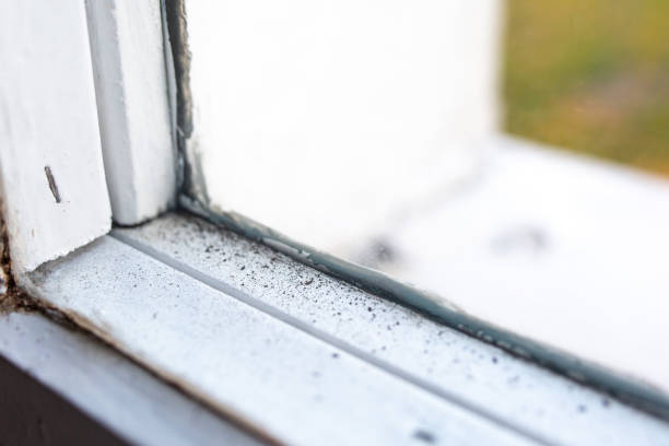 Dehumidification Services in Thomson, GA