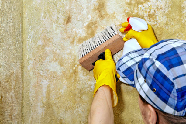 Best Indoor Air Quality Assessment  in Thomson, GA