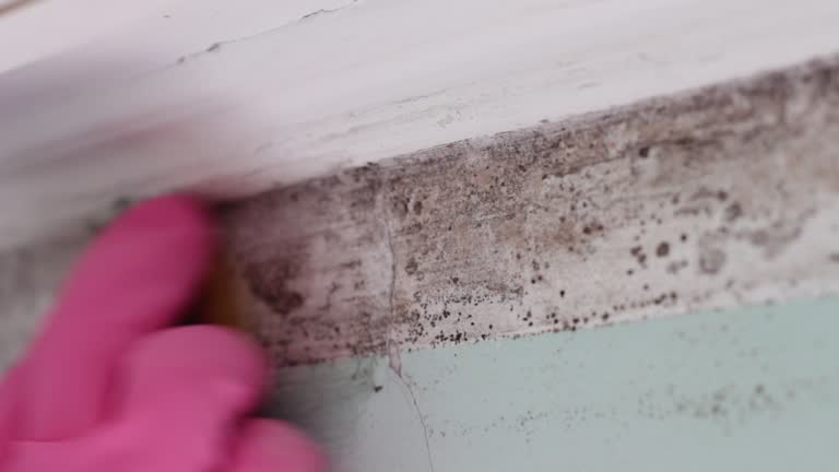 Best Residential Mold Inspection & Testing  in Thomson, GA